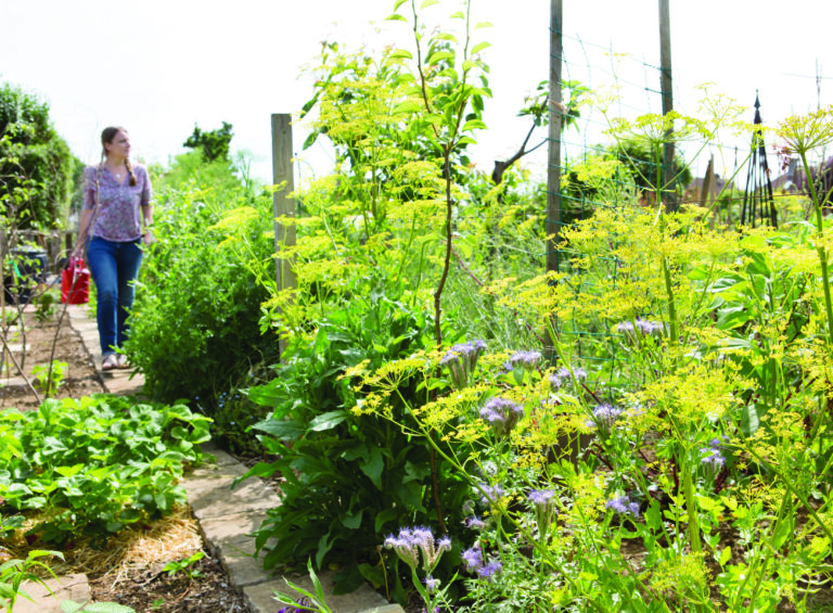 Gardening for Wildlife with Kate Bradbury