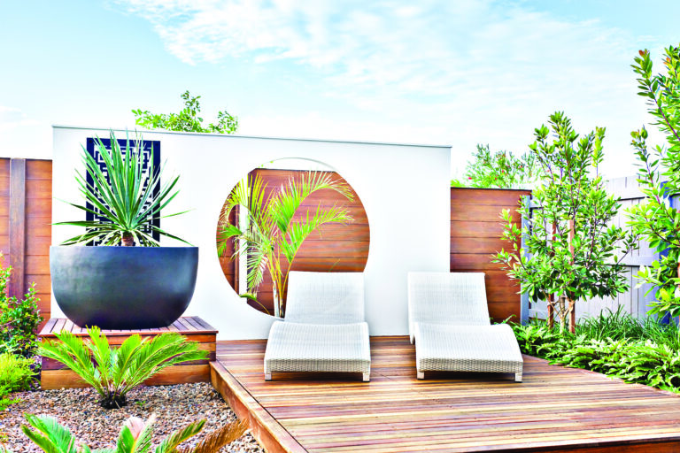 Creating a Contemporary Garden