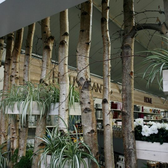 Image Gallery