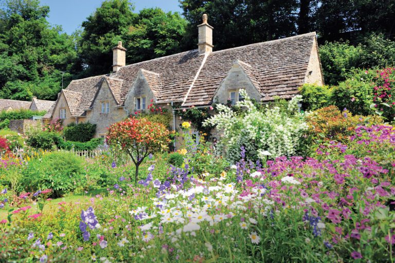 Cottage Garden Style Planting