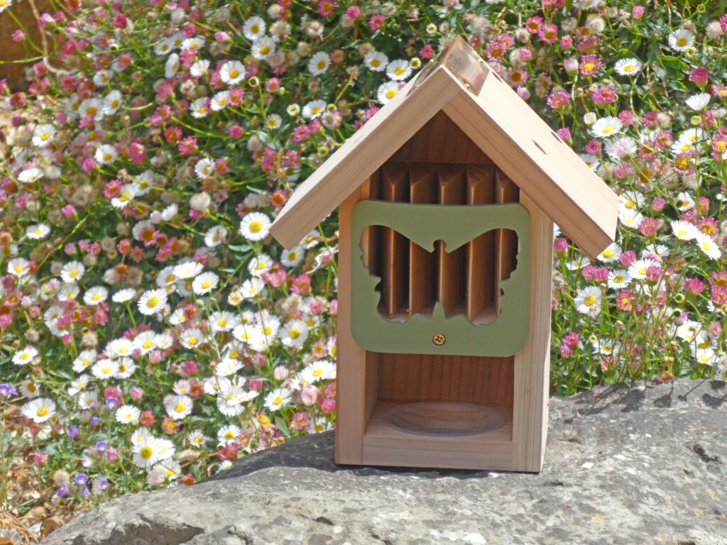 Butterfly Barn 679505021324 2