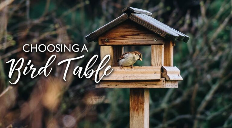 Birdcare | Choosing a Bird Table