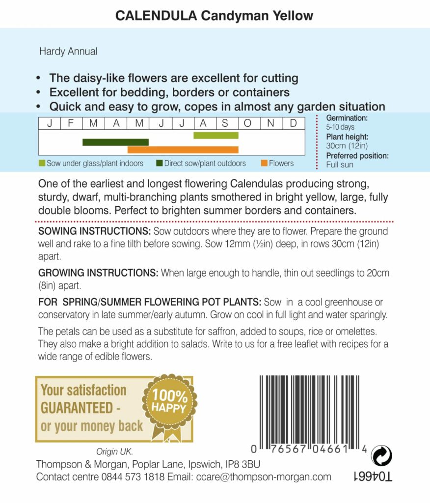 Calendula Candyman Yellow 76567046614