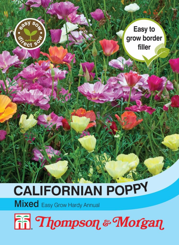 Californian Poppy Mixed 76567012770 2