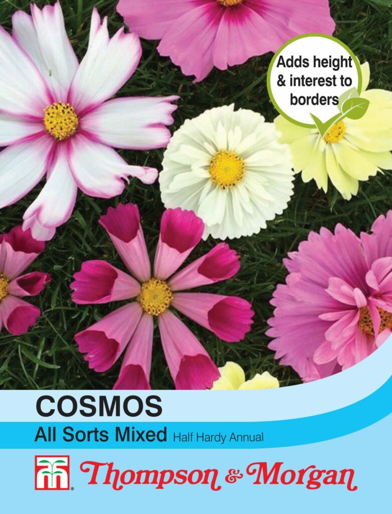 Cosmos All Sorts Mixed 76567046645