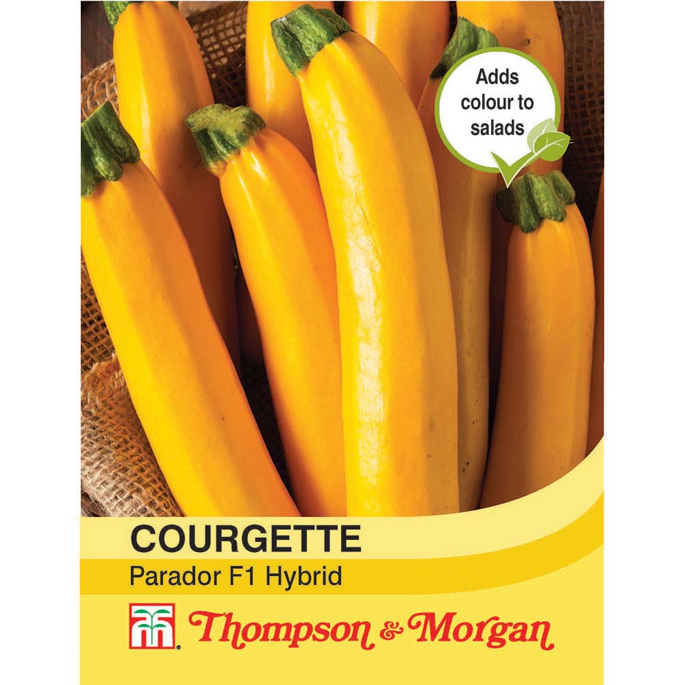 Courgette Parador 076567003181