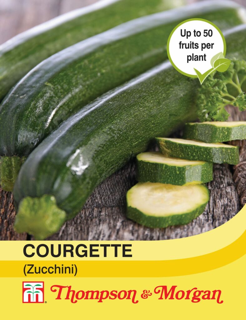 Courgette (Zucchini) 76567005659