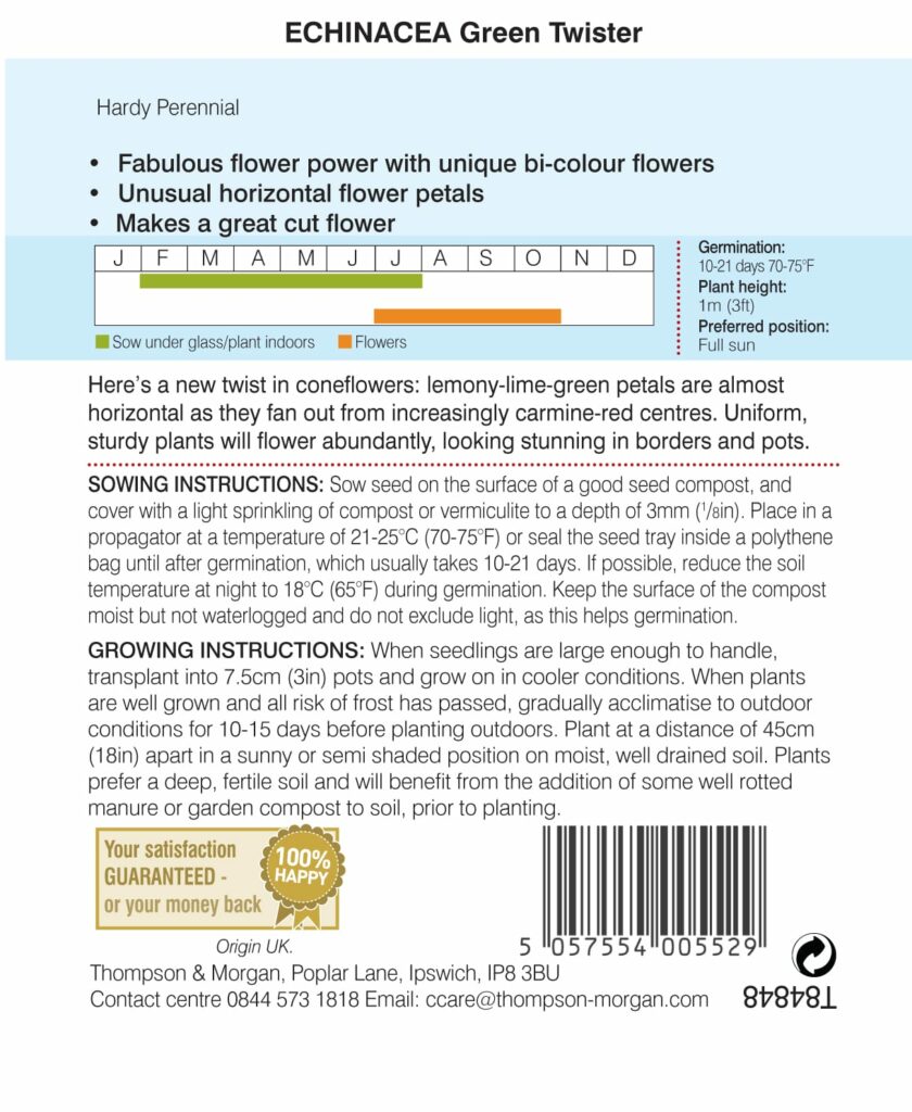 Echinacea Green Twister 5057554005529