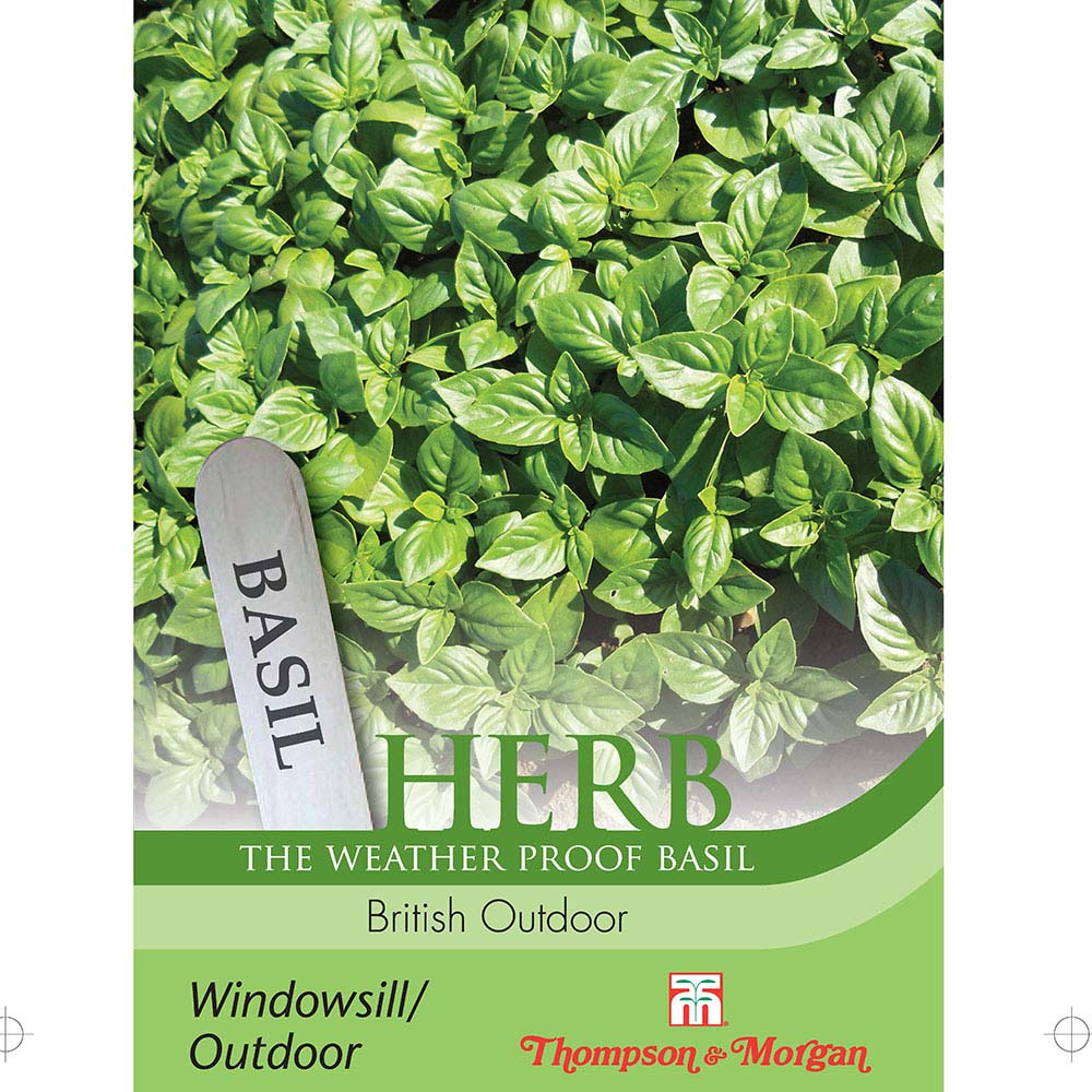 Herb Basil British Outdoor 5055550475841