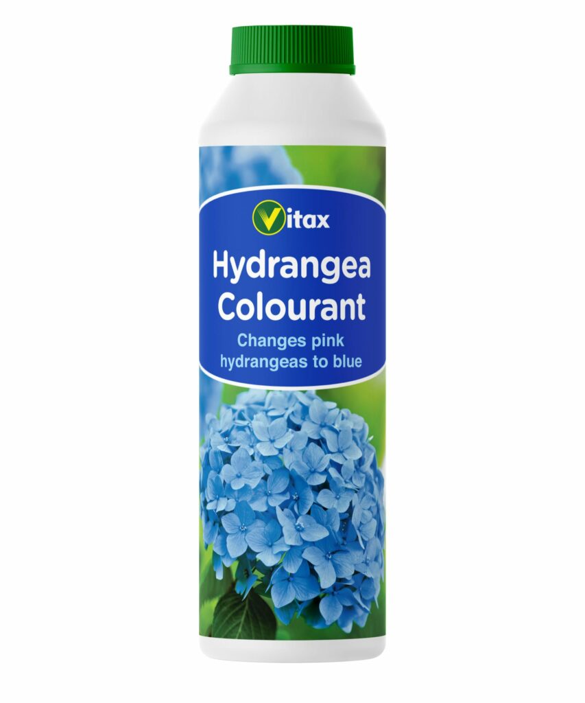 Hydrangea Colourant 250g 5012042631512