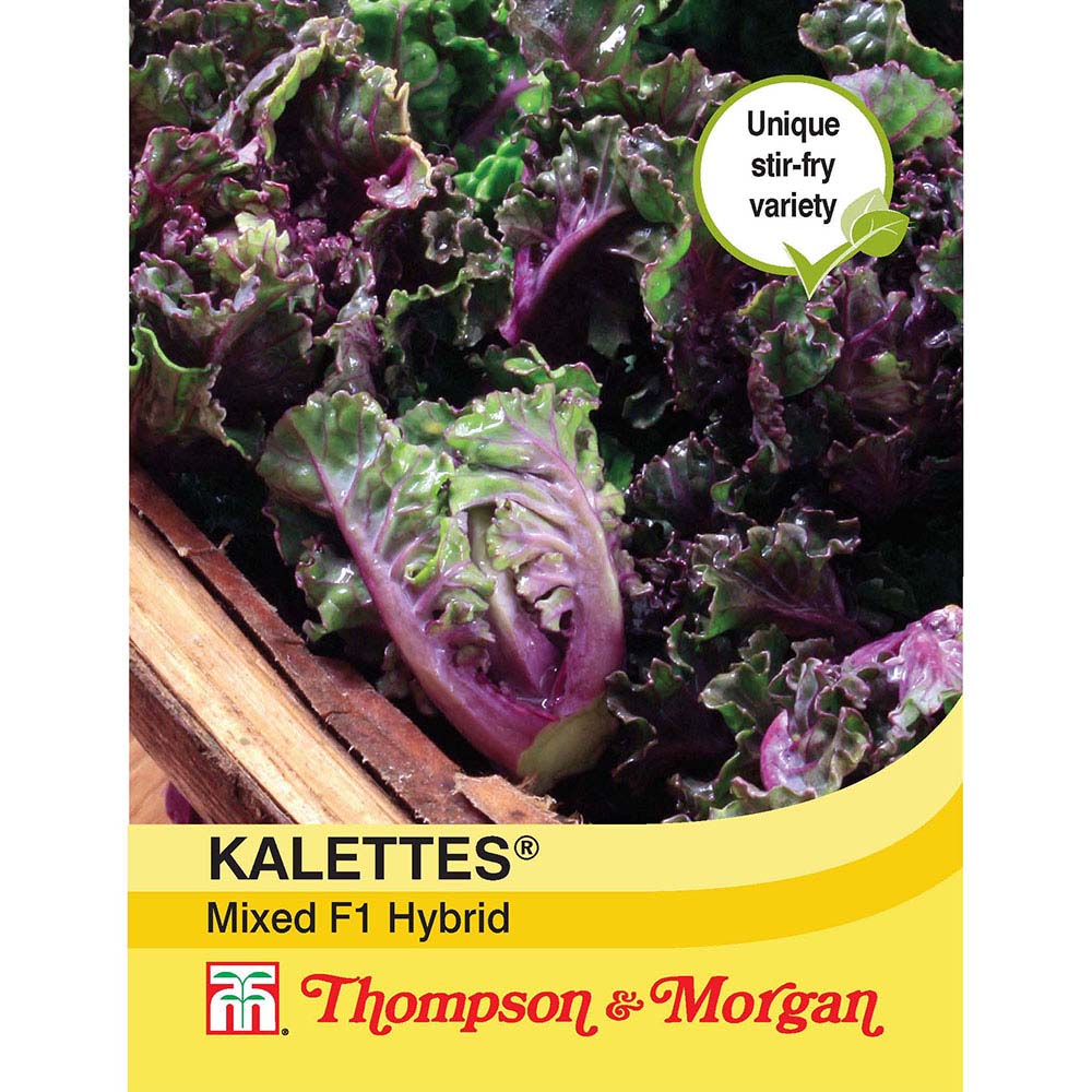 Kalettes® Garden Mix F1 Hybrid 5057554000623