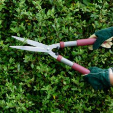 Kent and Stowe Garden Life Hedge Shears