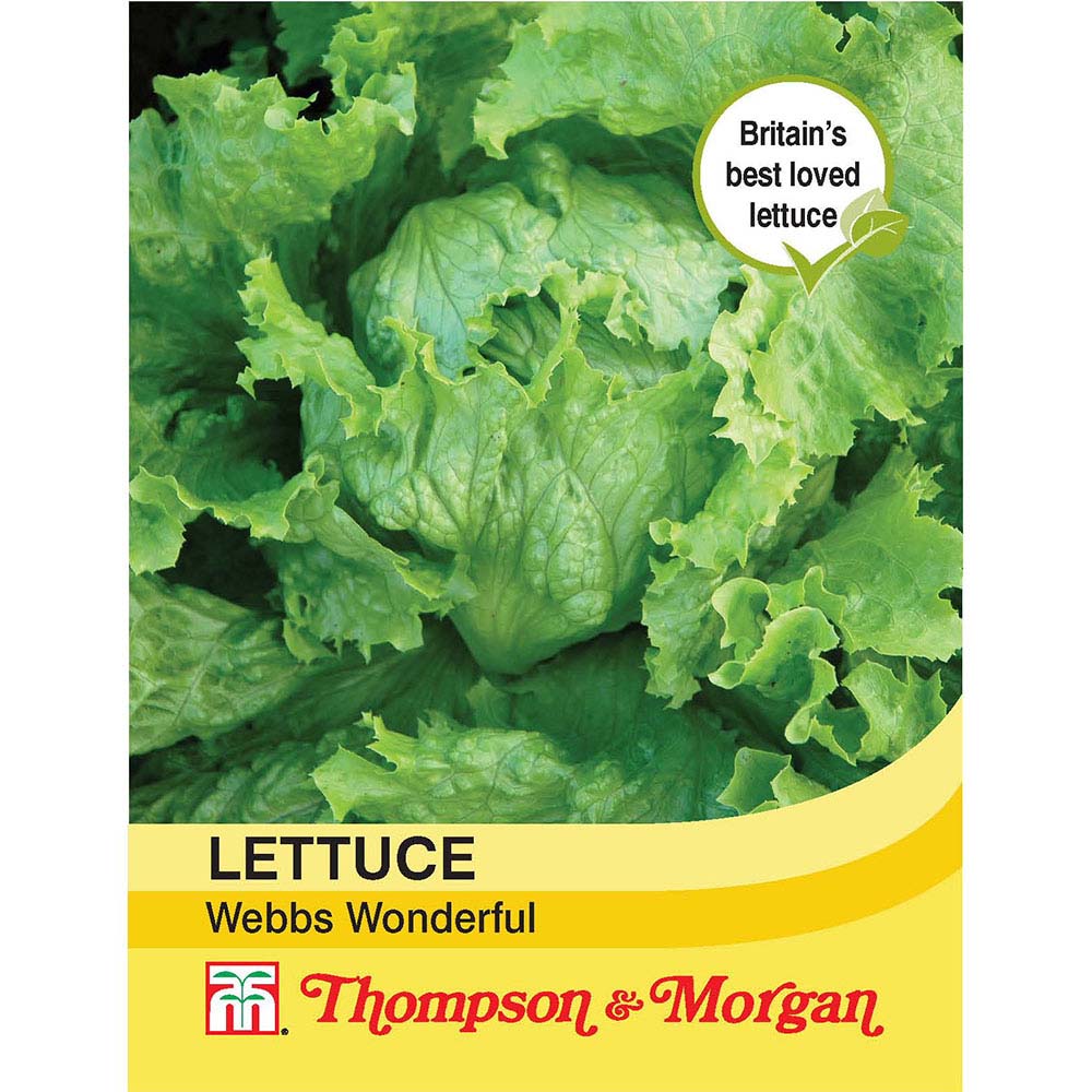 Lettuce Webbs Wonderful 076567004638