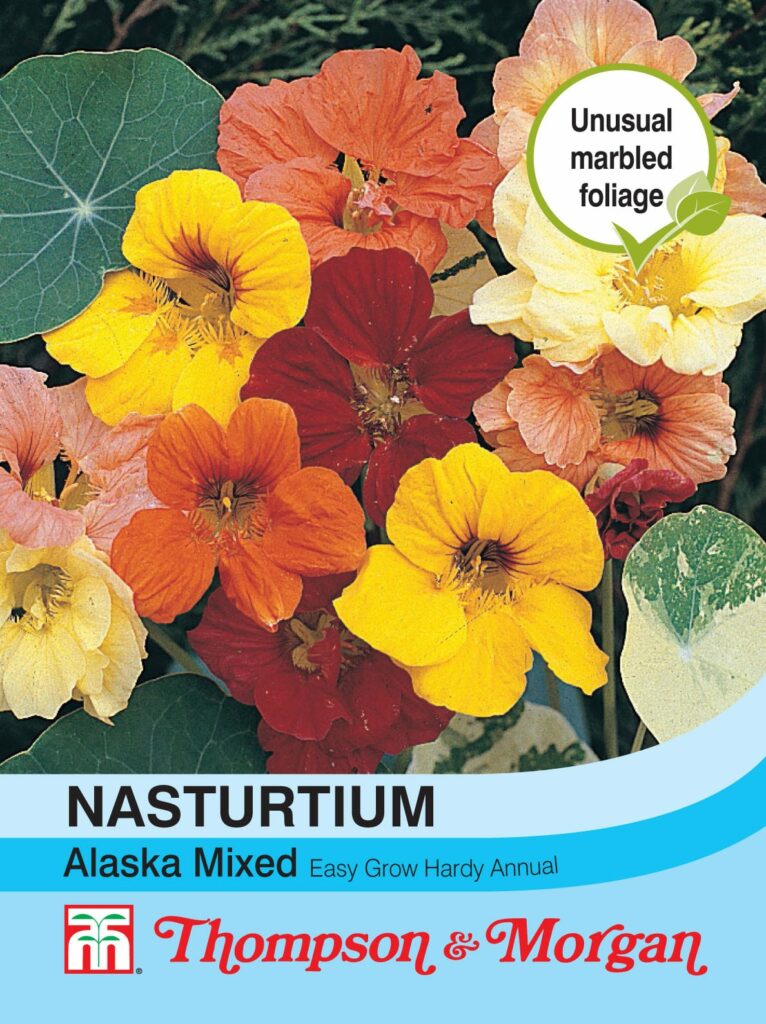 Nasturtium Alaska Mixed 76567017584