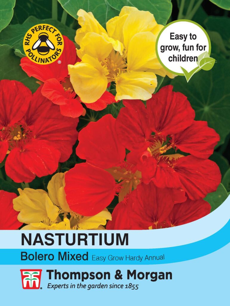 Nasturtium Bolero Mixed 5055550473281