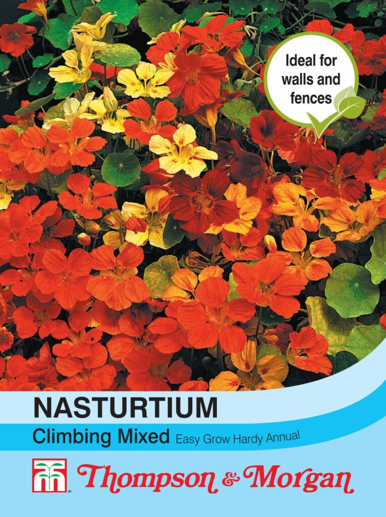 Nasturtium Climbing Mixed 076567067527