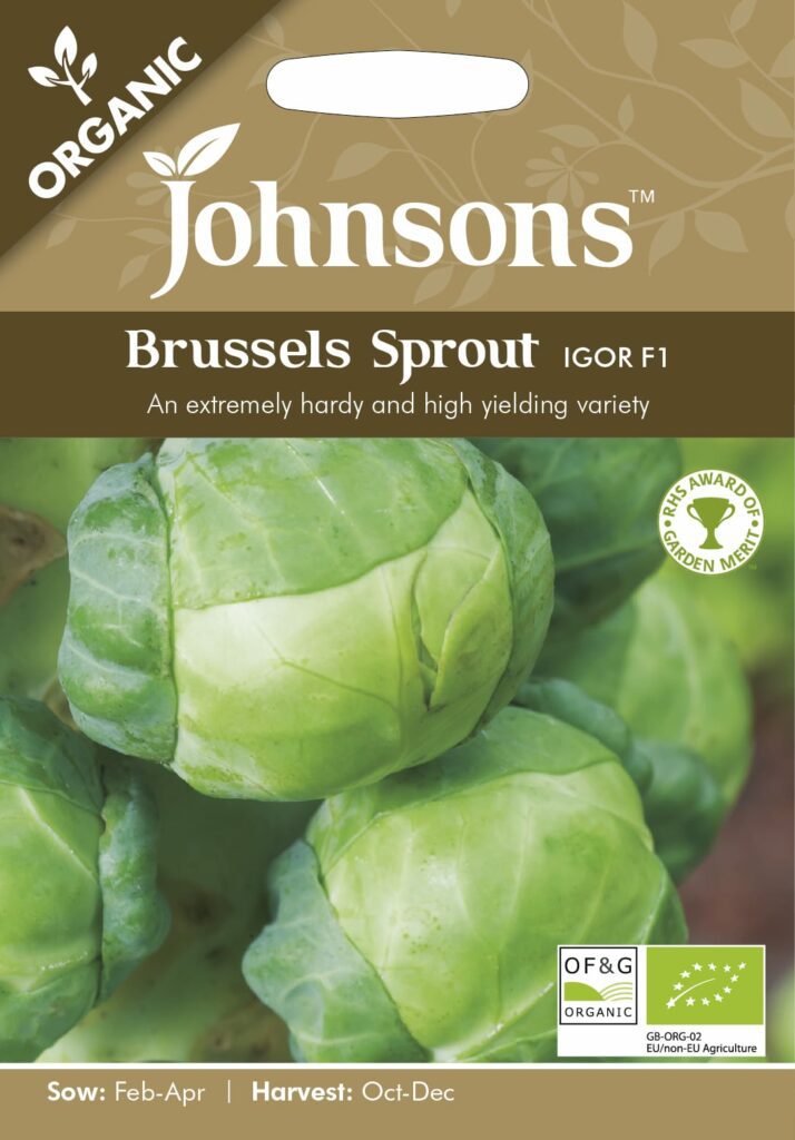 Organic Brussels Sprout Igor F1 5010931283675