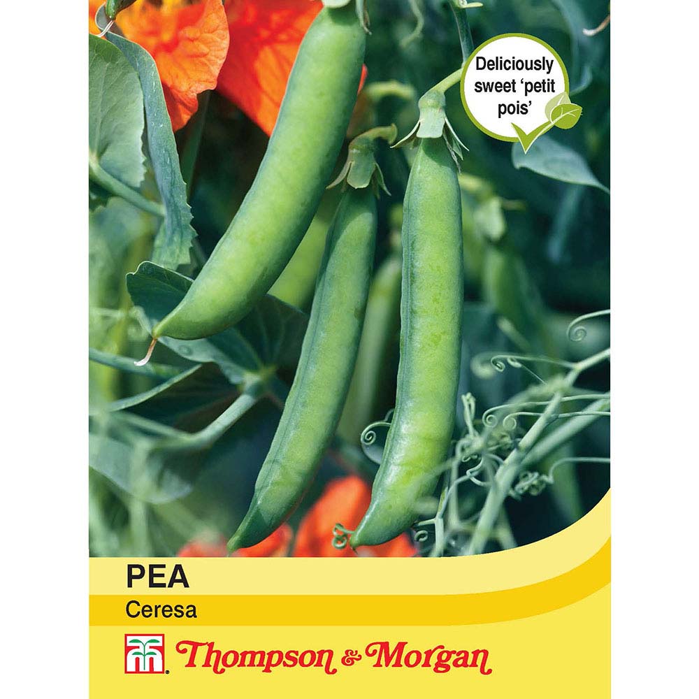 Pea Ceresa 076567047864
