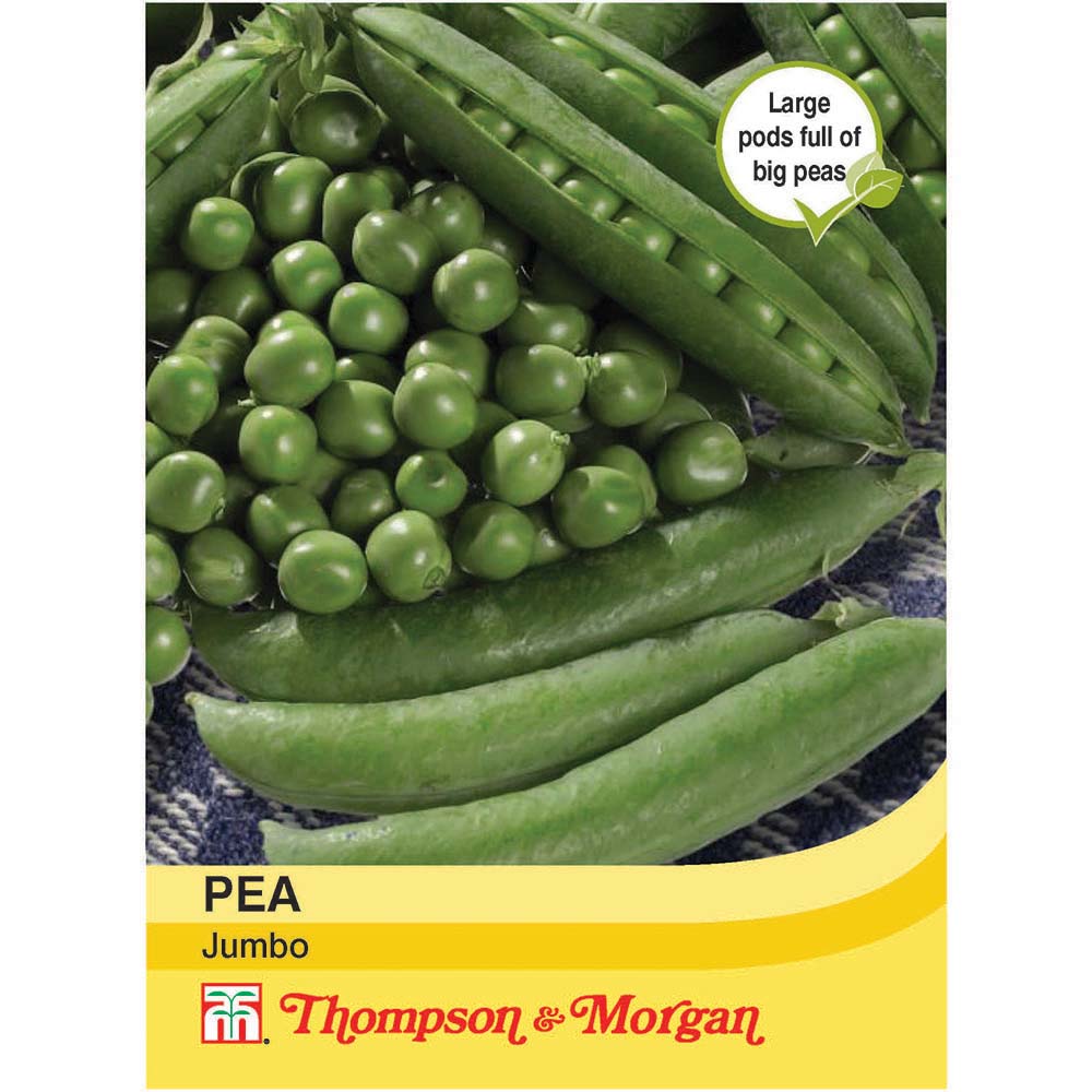 Pea Jumbo 76567049004