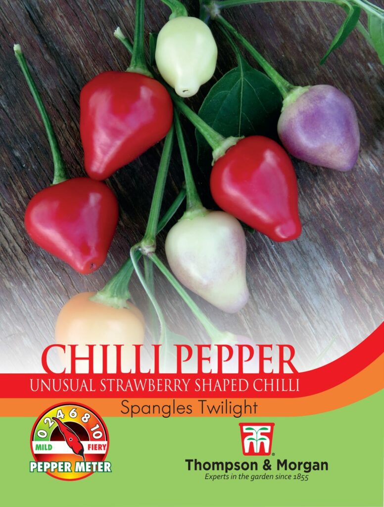 Pepper Chilli Spangles Twilight 5057554030941
