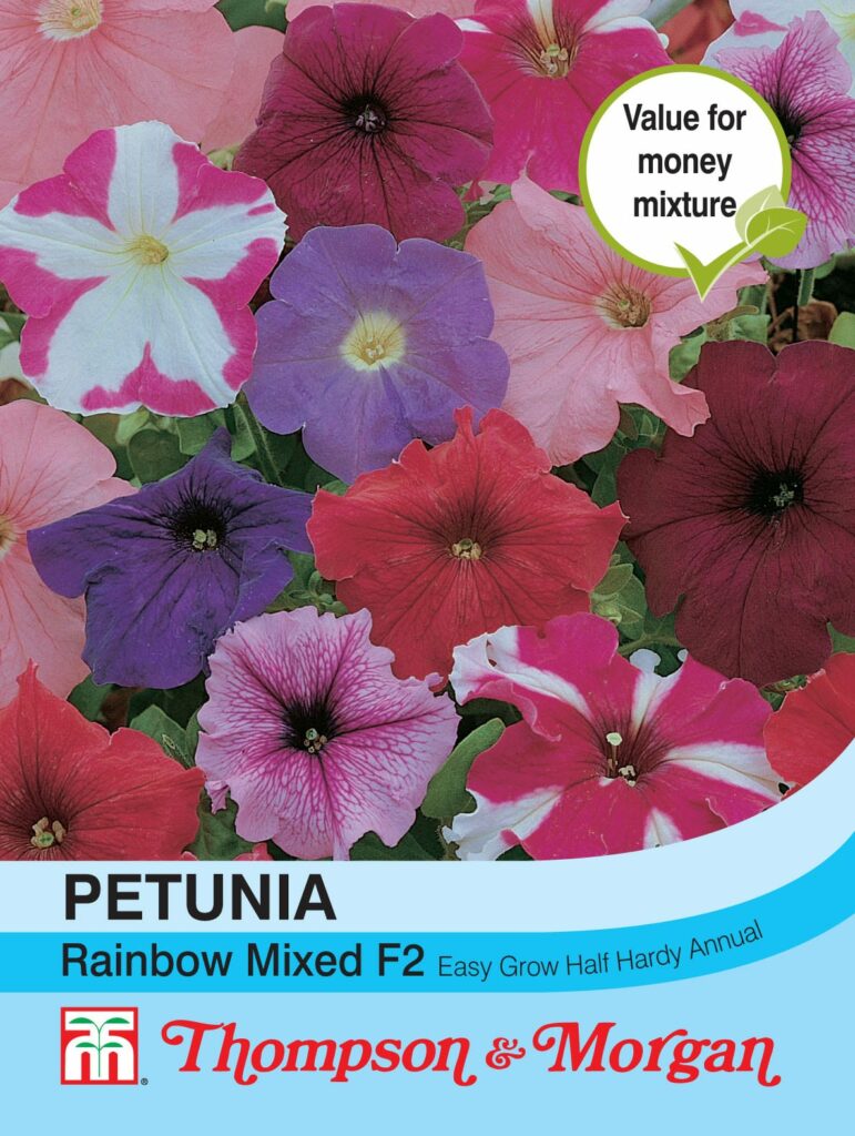 Petunia Rainbow Mixed F2 Hybrid 76567016549