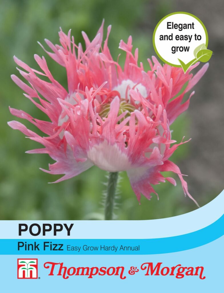 Poppy Pink Fizz 76567091003