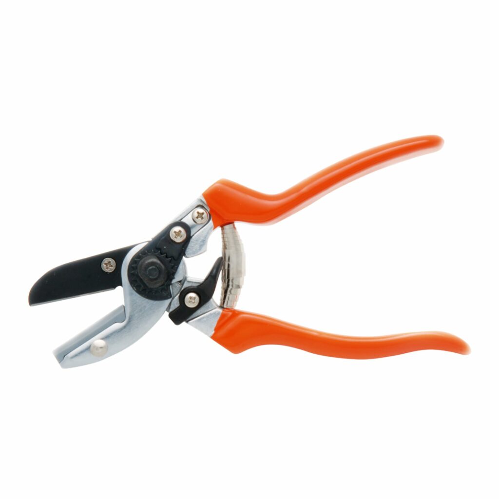 RHS Anvil Secateur 5019360002772 2