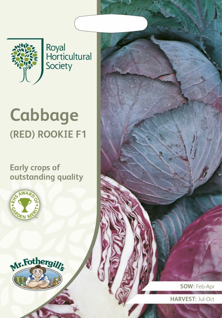 RHS Cabbage (Red) Rookie F1 5011775273457