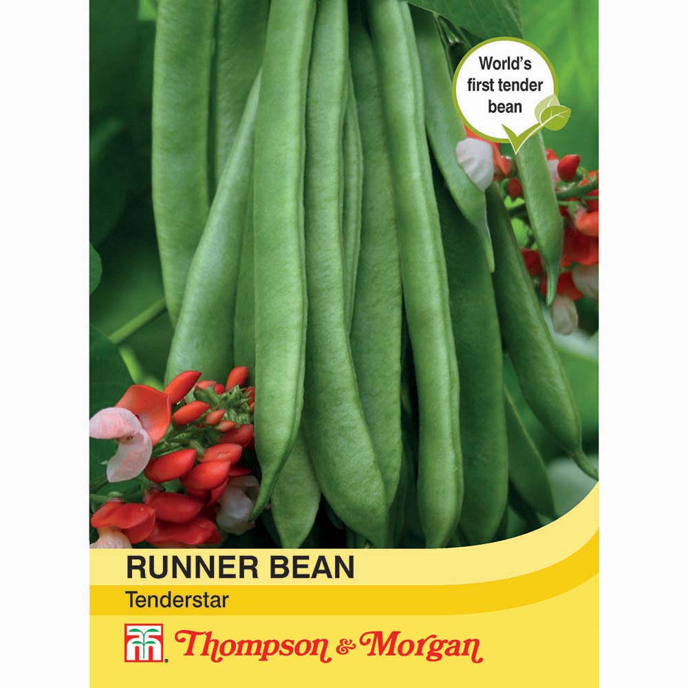 Runner Bean Tenderstar 76567010783