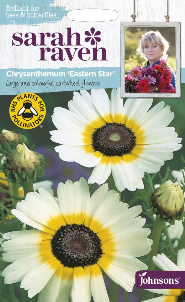 Sarah Raven Wildflower Chrysanthemum Eastern Star 5010931216475