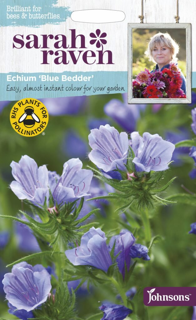 Sarah Raven Wildflower Echium Blue Bedder 5010931216543
