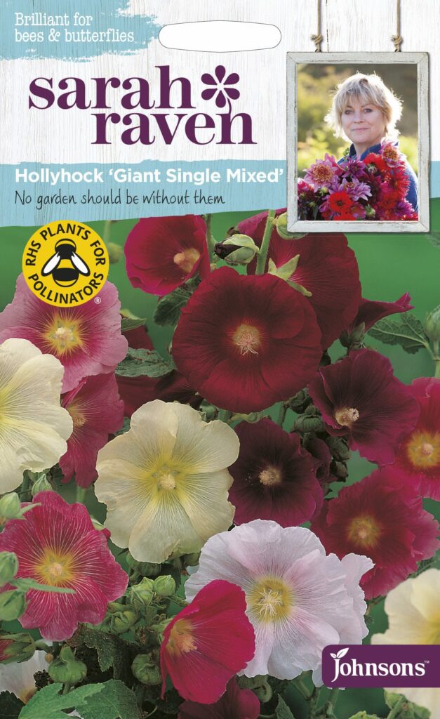 Sarah Raven Wildflower Hollyhock Giant Single Mixed 5010931216574
