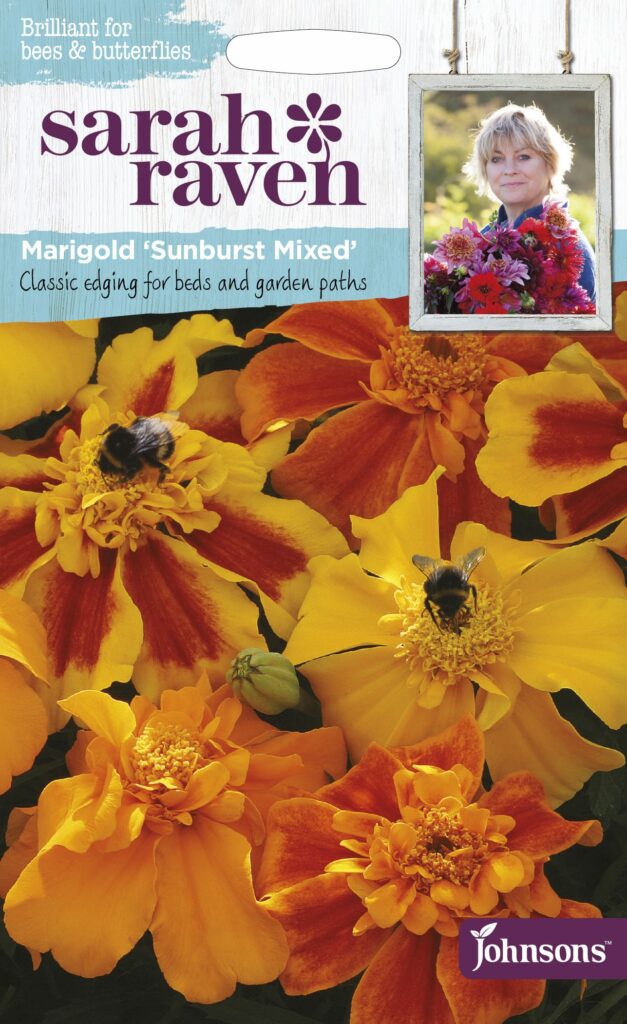 Sarah Raven Wildflower Marigold Sunburst Mixed 5010931216642