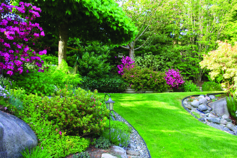 Designing with Evergreen Shrubs