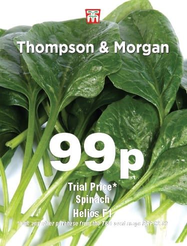 Spinach Helios F1 Hybrid 5057554031801