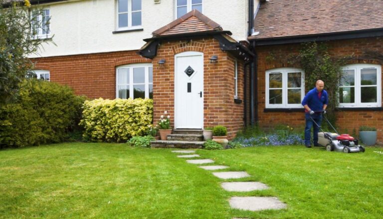 How to Care for Your Lawn in Spring