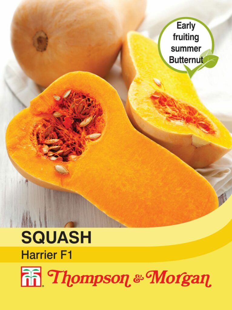 Squash Harrier F1 Hybrid 76567000760
