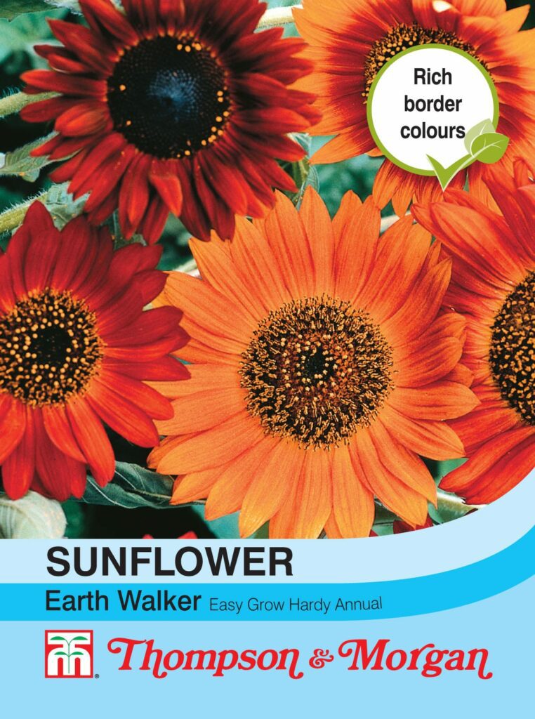 Sunflower Earth Walker 76567076482
