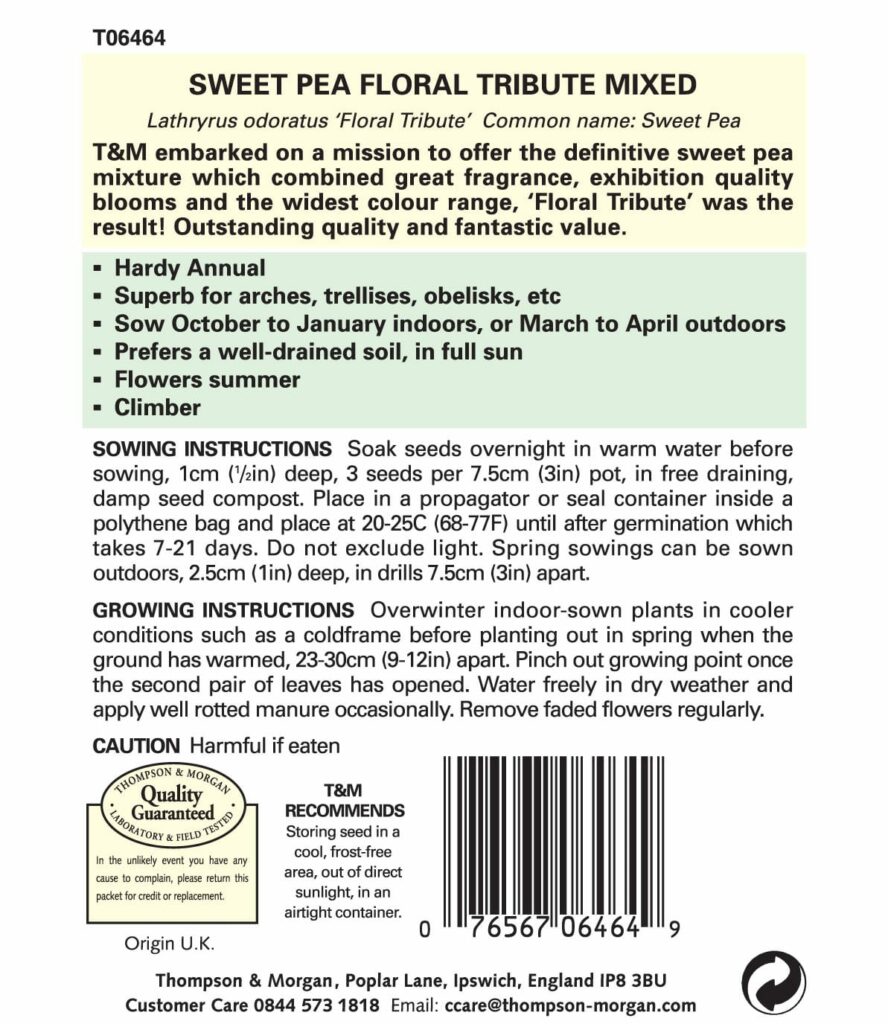 Sweet Pea Floral Tribute Mixed 76567064649