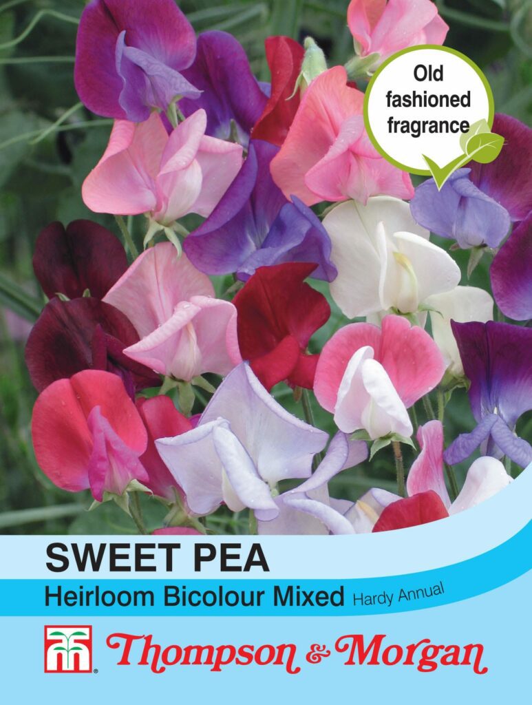 Sweet Pea Heirloom Bicolour Mix 76567082988