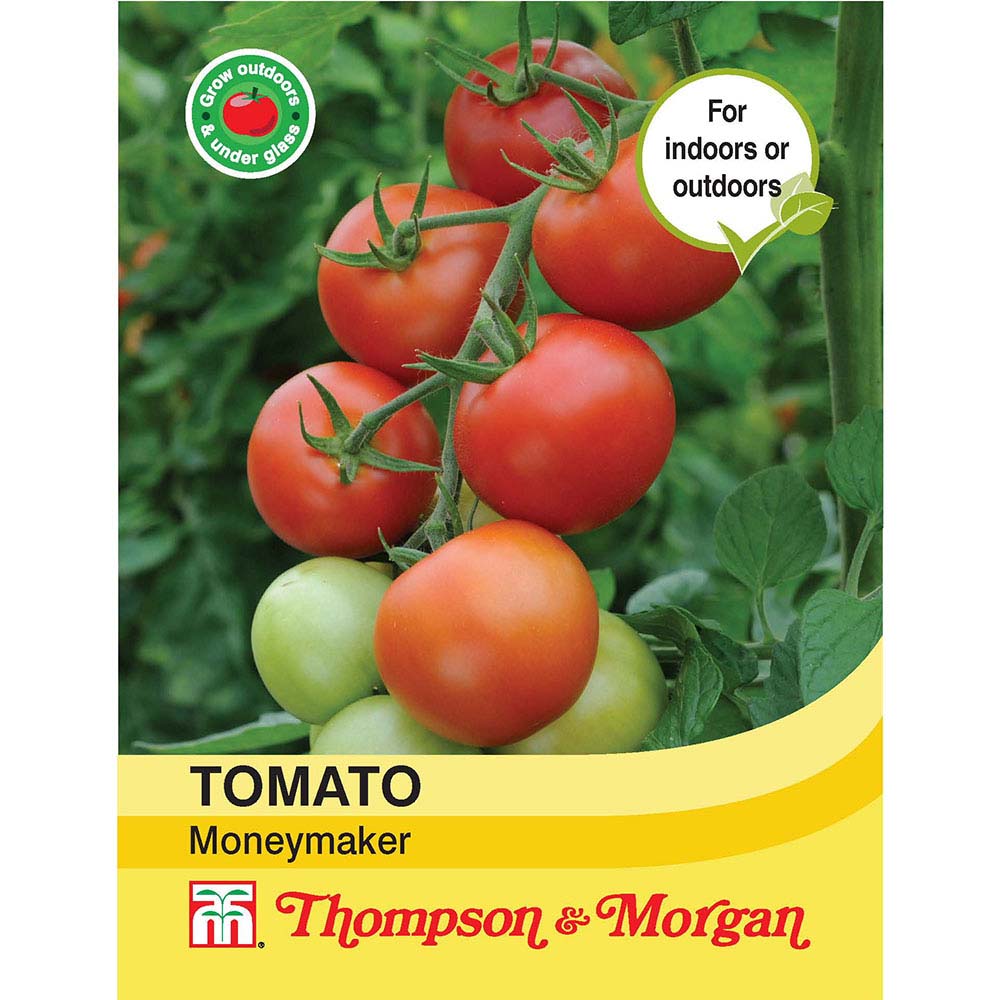 Tomato Moneymaker 76567002825