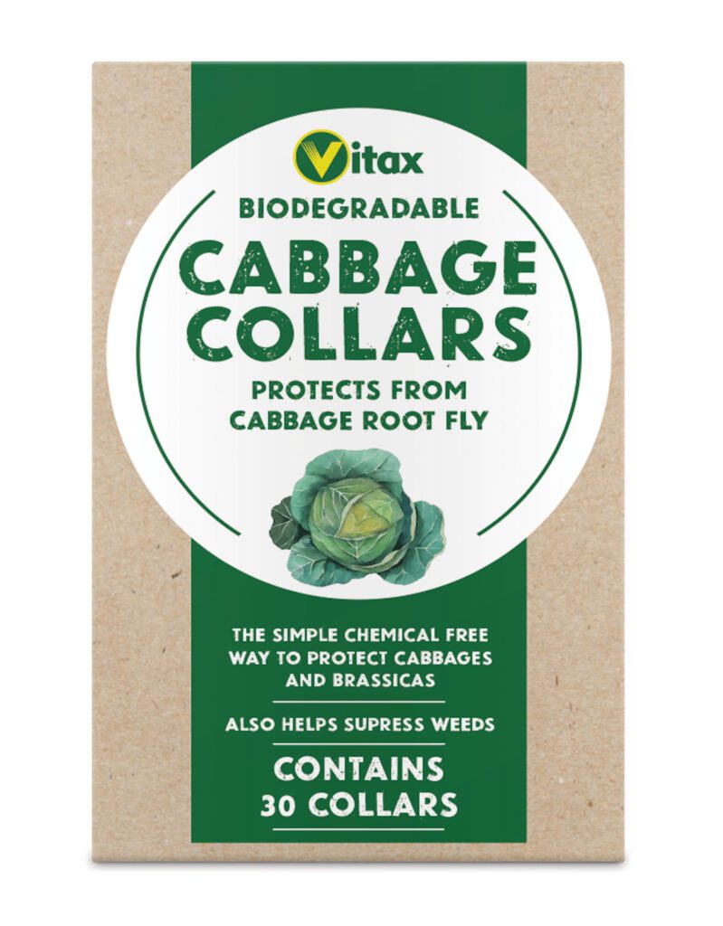 Cabbage Collars 30pk 5012351040104 2