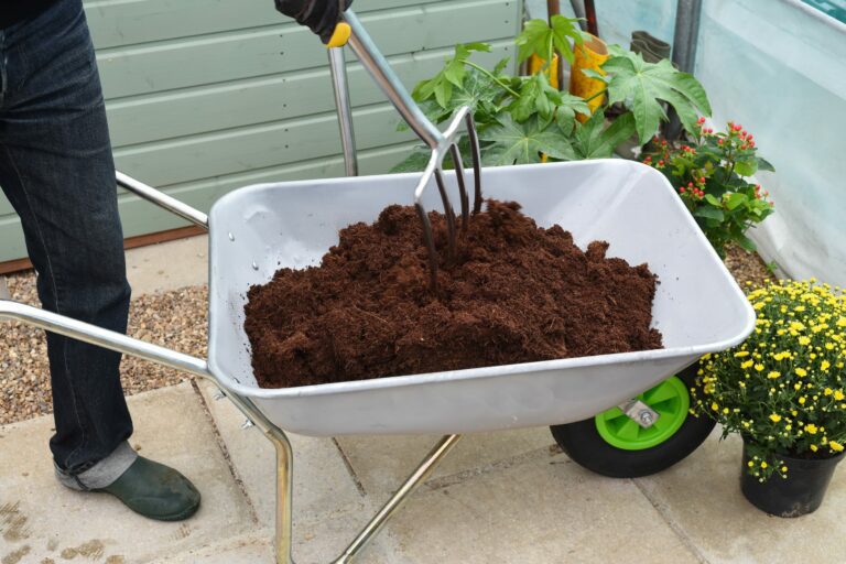 Introducing Coco & Coir