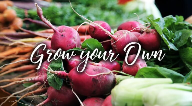 Grow Your Own | What To Do in April
