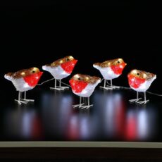 5 Acrylic Robin String Lights