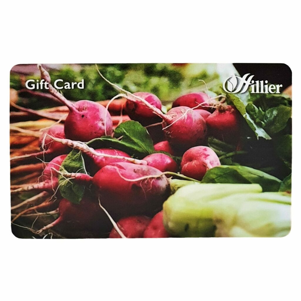 Hillier Gift Card – Home Grown 00360509 2