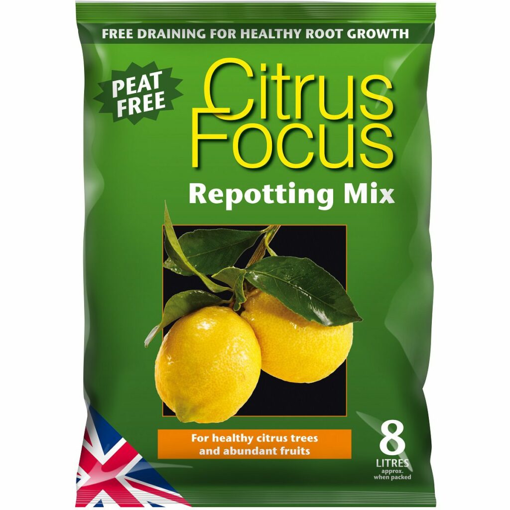 Focus Peat Free Citrus Repotting Compost Mix 5025644915652 2